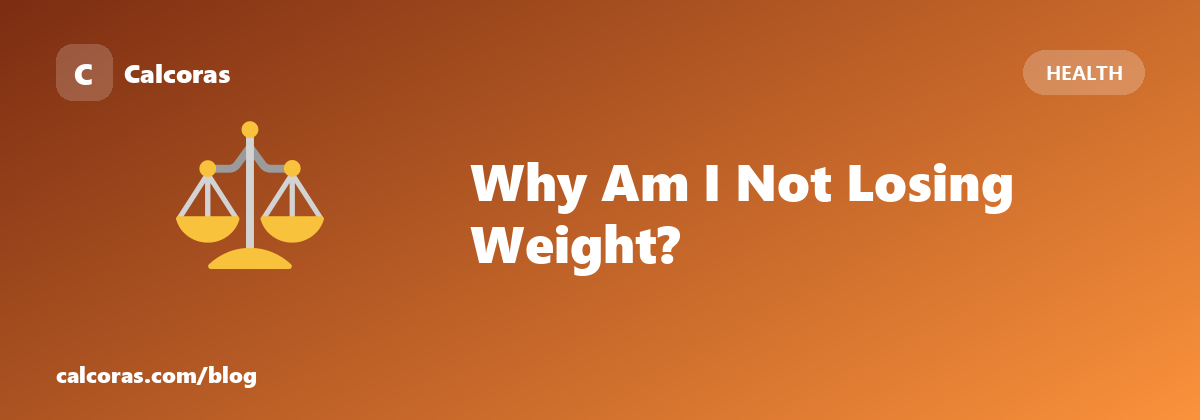 Why Am I Not Losing Weight? Seven Reasons, Checked In Order